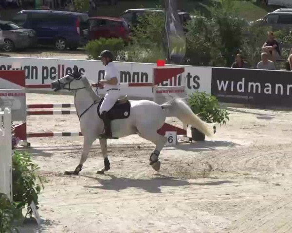 HORSE classics Killingen 2015