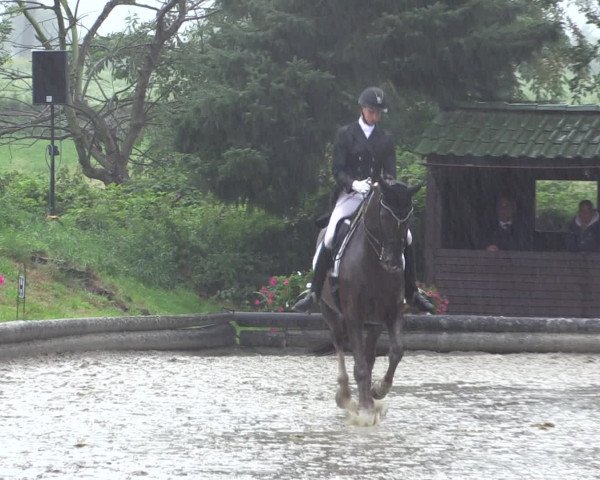 Reitturnier Datteln 2015