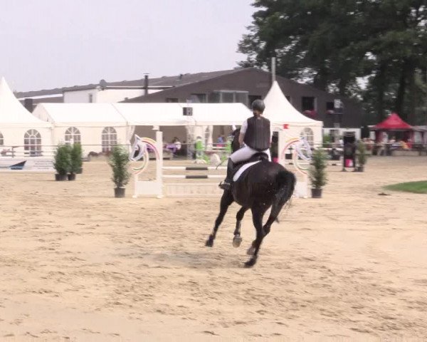 Reitturnier Datteln 2015