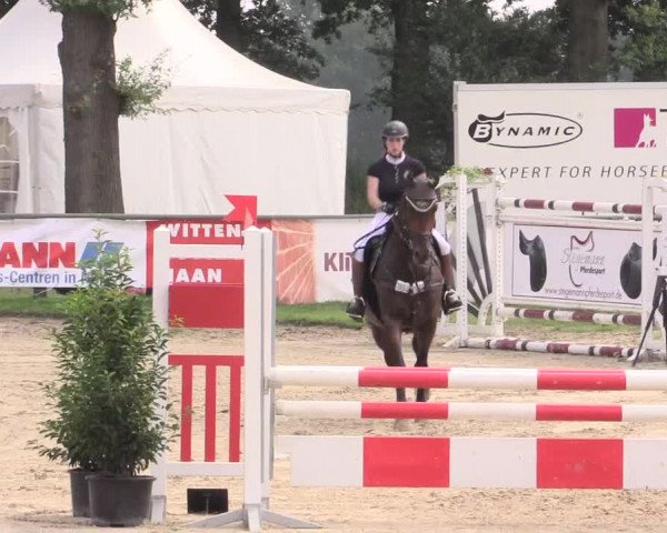 Reitturnier Datteln 2015