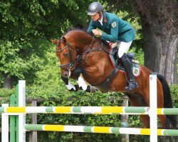 stallion Lausitzer (German Sport Horse, 2013, from Lahnstein 4)