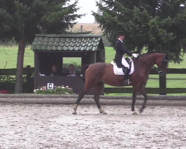 Reitturnier Datteln 2015