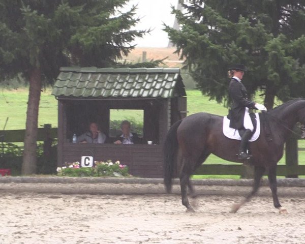 Reitturnier Datteln 2015