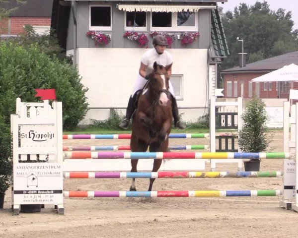 Reitturnier Datteln 2015