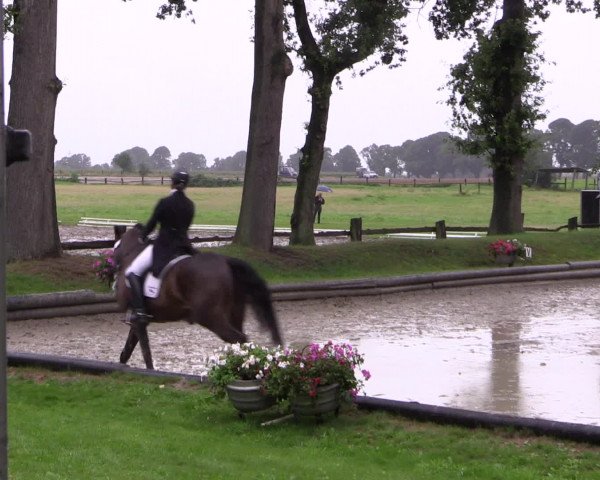 Reitturnier Datteln 2015