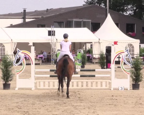 Reitturnier Datteln 2015
