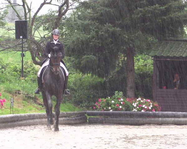 Reitturnier Datteln 2015
