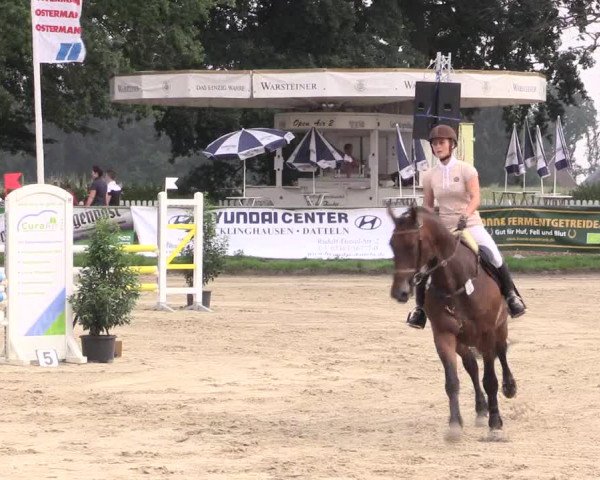 Reitturnier Datteln 2015