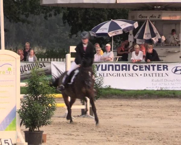 Reitturnier Datteln 2015