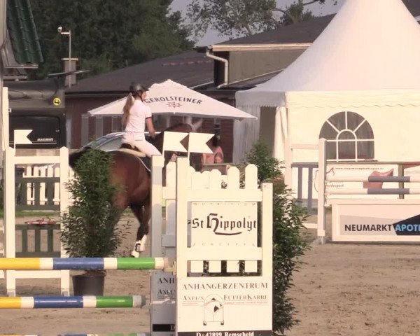 Reitturnier Datteln 2015