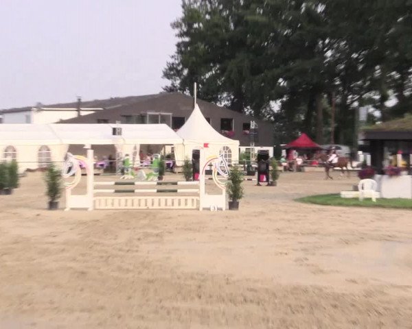 Reitturnier Datteln 2015