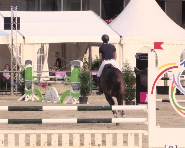 Reitturnier Datteln 2015