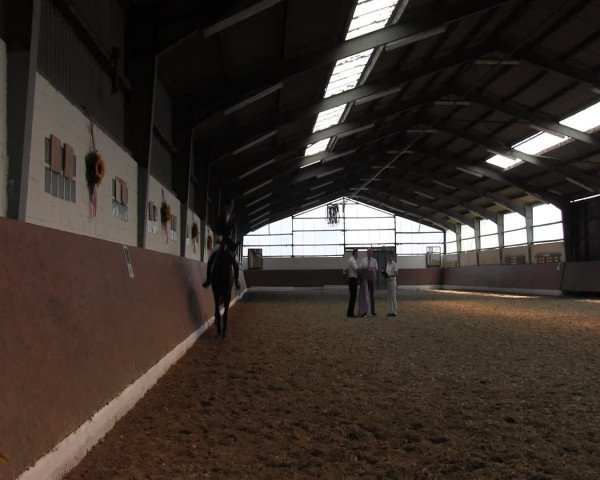 Reitturnier Datteln 2015