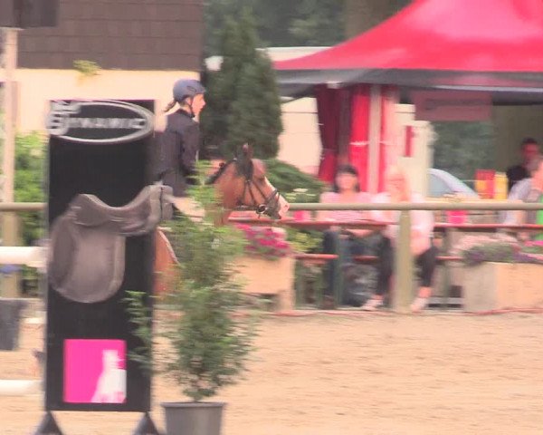 Reitturnier Datteln 2015