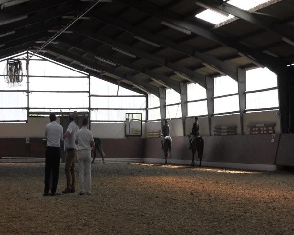 Reitturnier Datteln 2015
