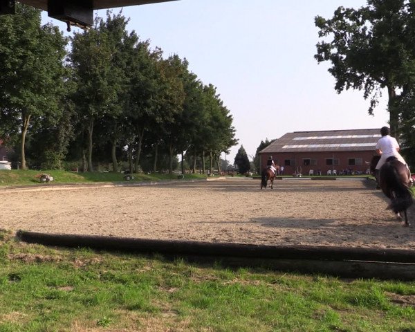 Reitturnier Datteln 2015