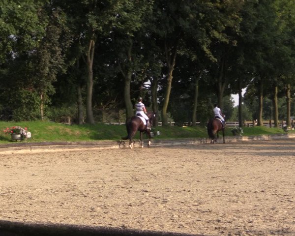 Reitturnier Datteln 2015