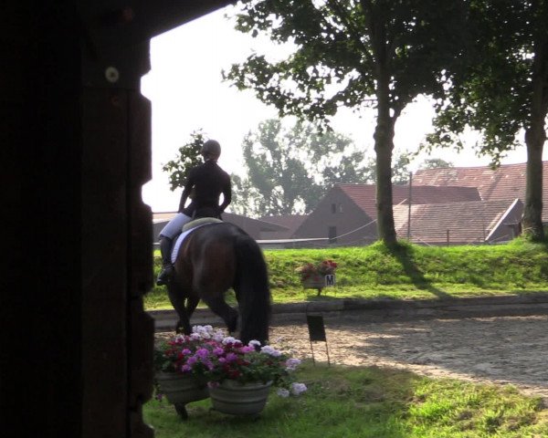 Reitturnier Datteln 2015