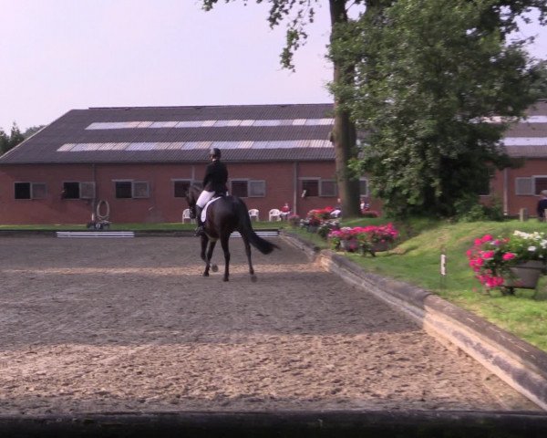 Reitturnier Datteln 2015