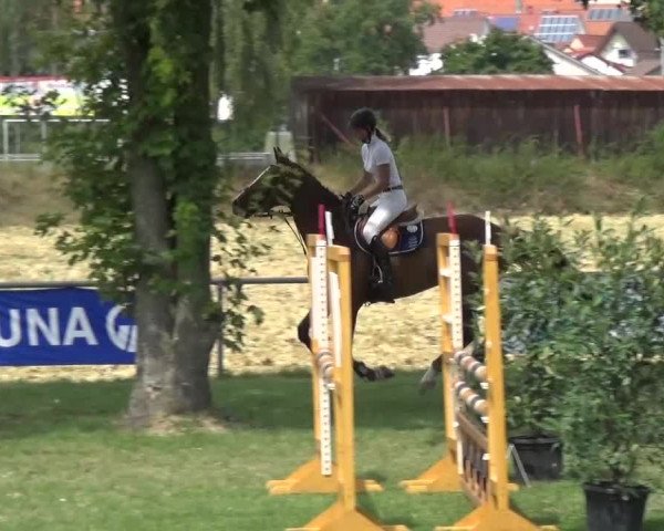 Gültsteiner Springtage 2015