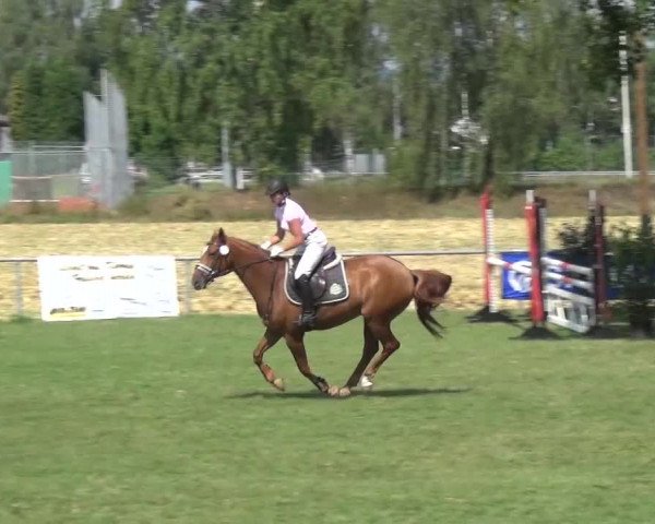 Gültsteiner Springtage 2015
