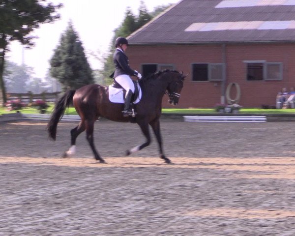 Reitturnier Datteln 2015