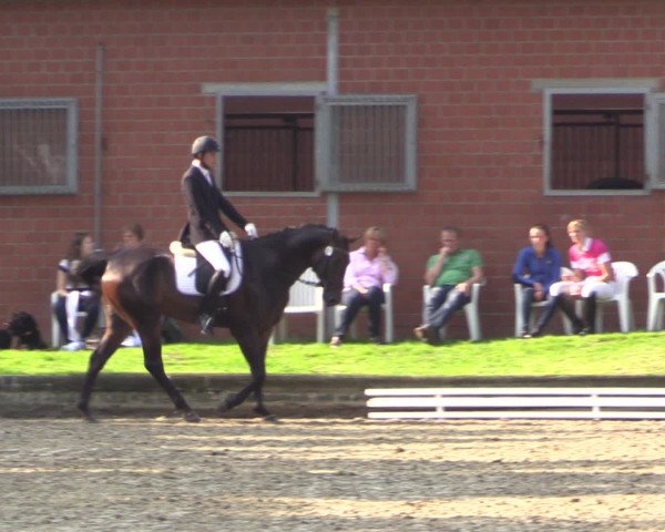 Reitturnier Datteln 2015