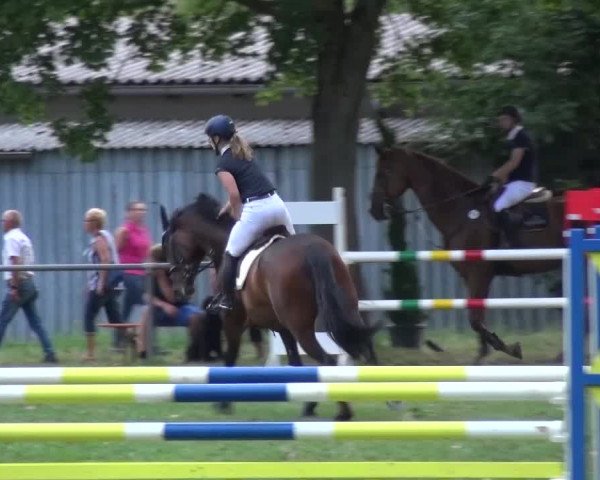 Gültsteiner Springtage 2015