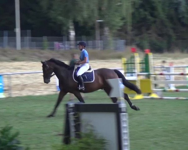 Gültsteiner Springtage 2015