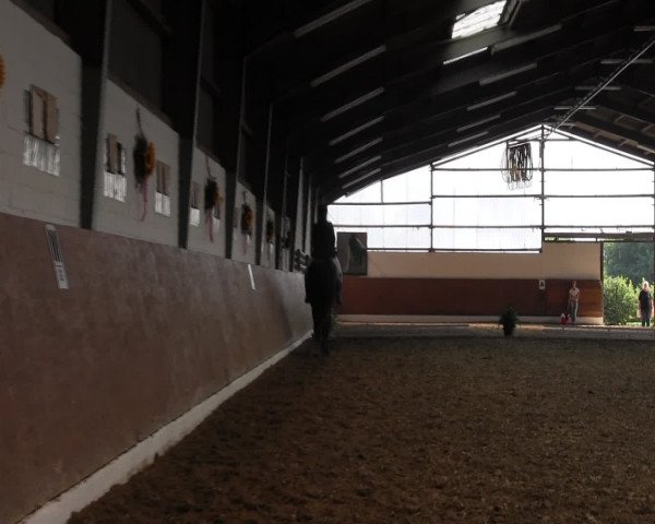 Reitturnier Datteln 2015