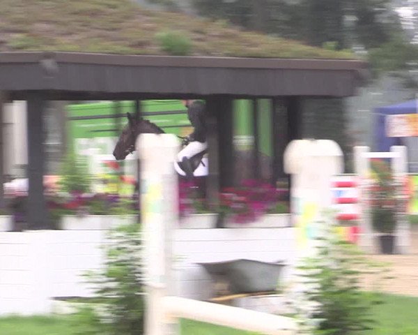 Reitturnier Datteln 2015