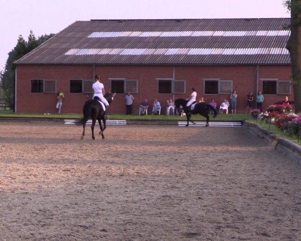 Reitturnier Datteln 2015