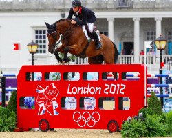 jumper Hello Sanctos (Belgium Sporthorse, 2002, from Quasimodo vd Molendreef)