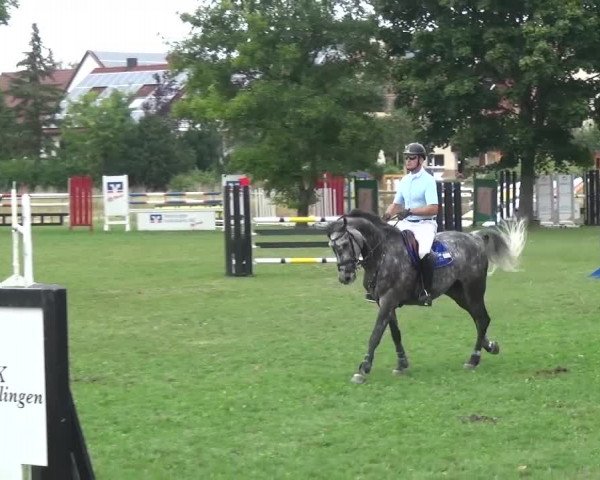 Gültsteiner Springtage 2015