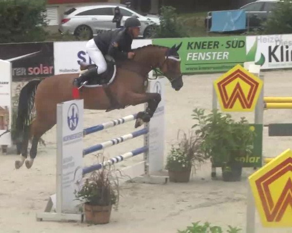 HORSE classics Killingen 2015