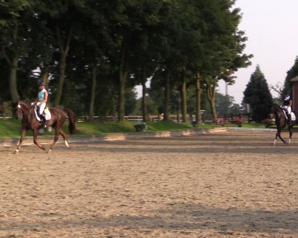 Reitturnier Datteln 2015