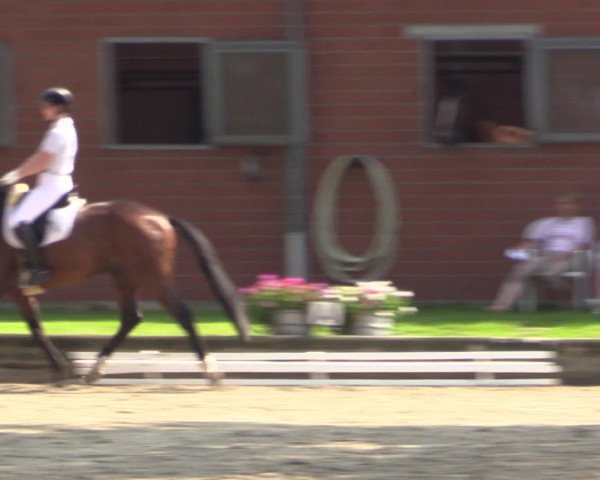 Reitturnier Datteln 2015