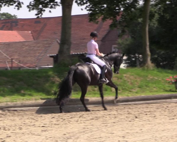 Reitturnier Datteln 2015