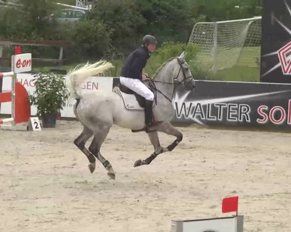 HORSE classics Killingen 2015