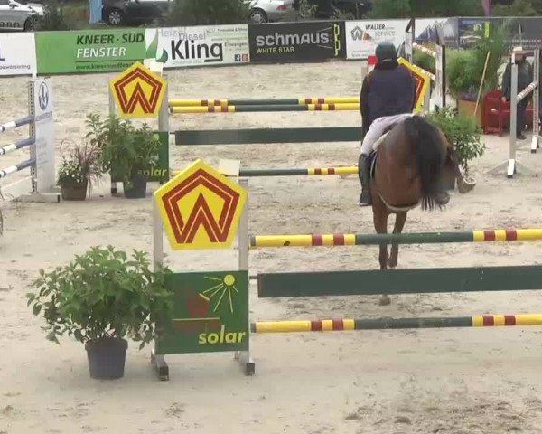 HORSE classics Killingen 2015