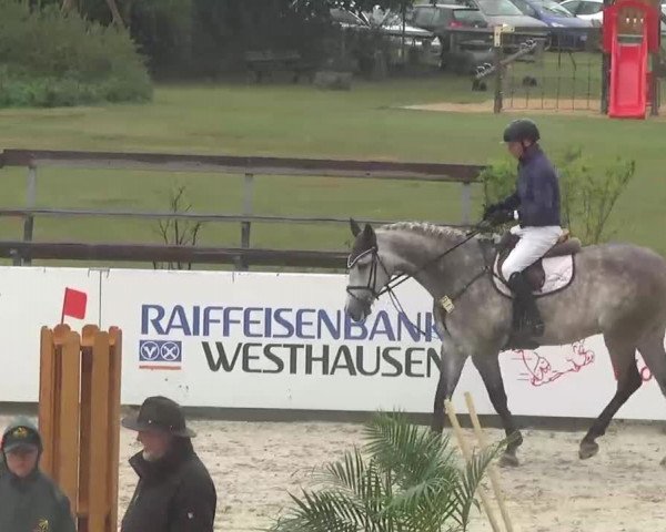 HORSE classics Killingen 2015