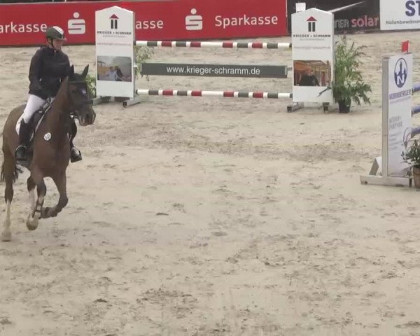 HORSE classics Killingen 2015