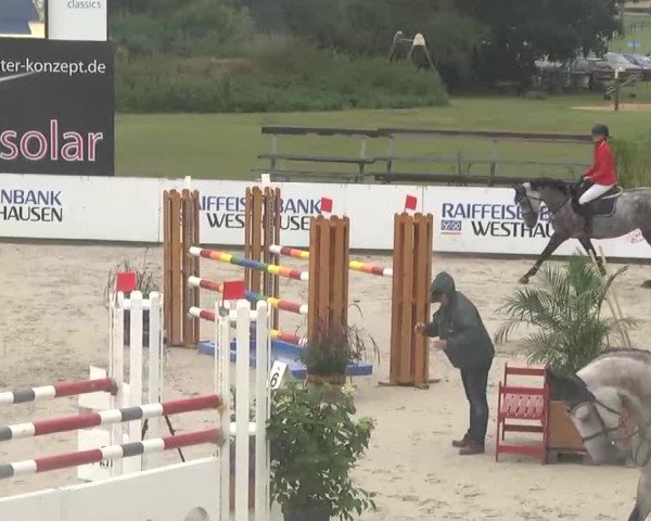 HORSE classics Killingen 2015