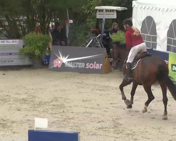HORSE classics Killingen 2015