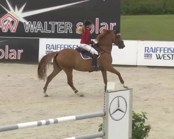 HORSE classics Killingen 2015