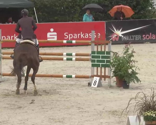 HORSE classics Killingen 2015