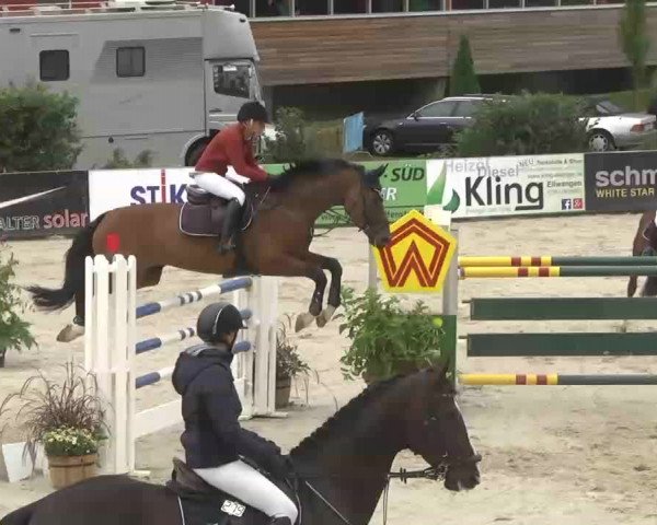 HORSE classics Killingen 2015