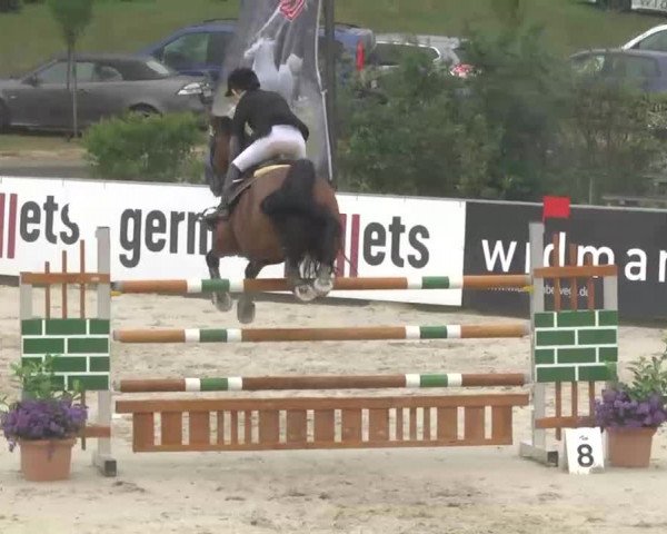 HORSE classics Killingen 2015