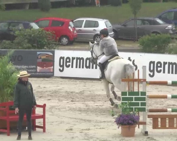HORSE classics Killingen 2015