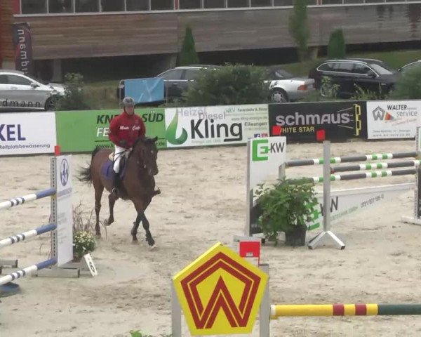 HORSE classics Killingen 2015